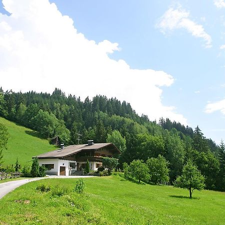 Ferienhaus Berger Mittersill Extérieur photo