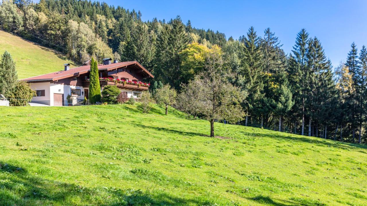 Ferienhaus Berger Mittersill Extérieur photo